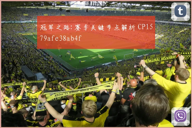 冠军之路:赛季关键节点解析 CP1579afe38ab4f