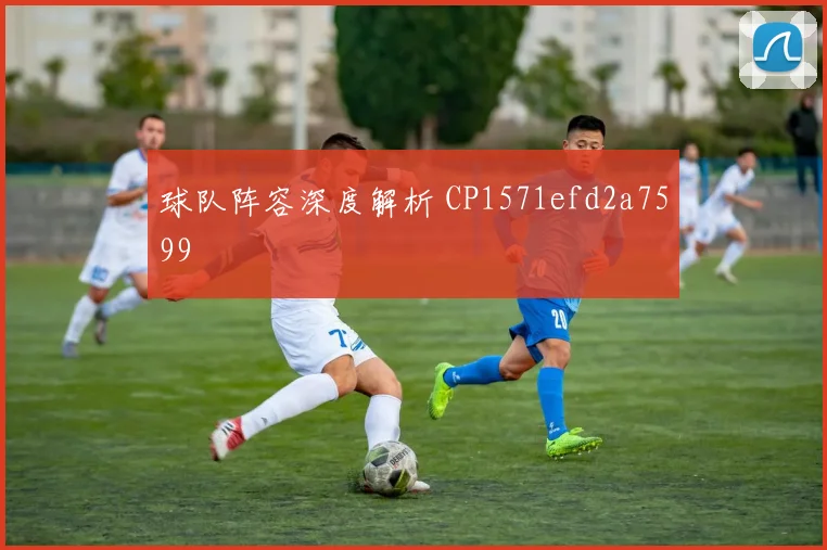 球队阵容深度解析 CP1571efd2a7599