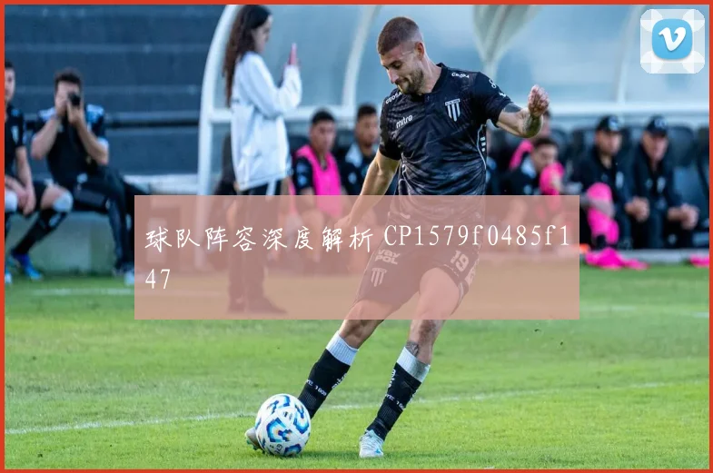 球队阵容深度解析 CP1579f0485f147